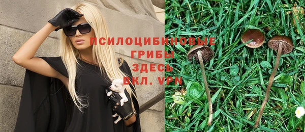 крисы Пересвет