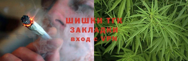 крисы Пересвет