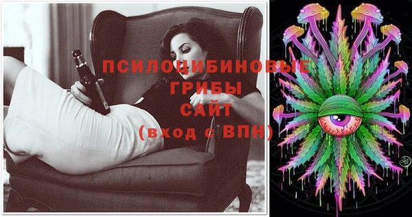 крисы Пересвет