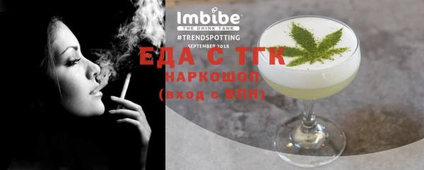 дживик Ельня