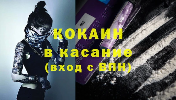 крисы Пересвет