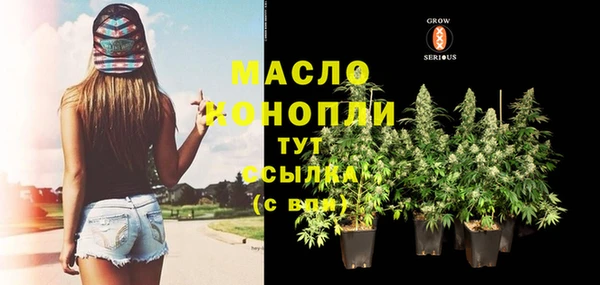 крисы Пересвет